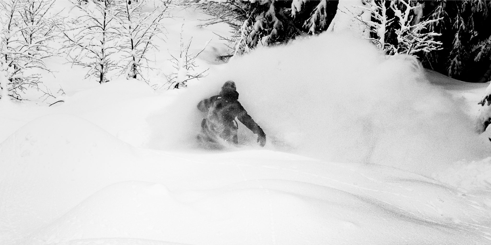 gara-splitboard-powder-1